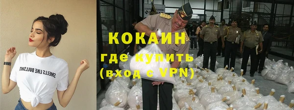 стафф Алзамай