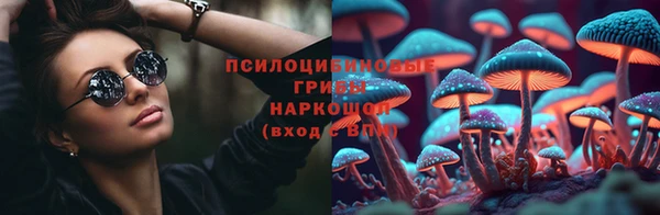 стафф Алзамай