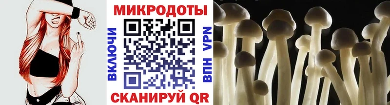 Псилоцибиновые грибы MAGIC MUSHROOMS  Далматово 